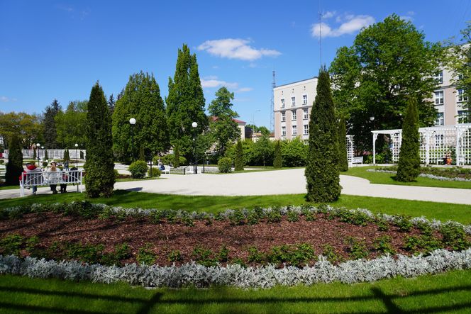 Różanka w Parku Planty po remoncie