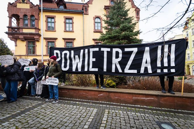 Smogowe płuca trafiły do Nowej Rudy. Zobacz zdjęcia instalacji!