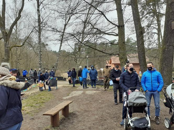 Drzewka i rekreacja na Barbarce