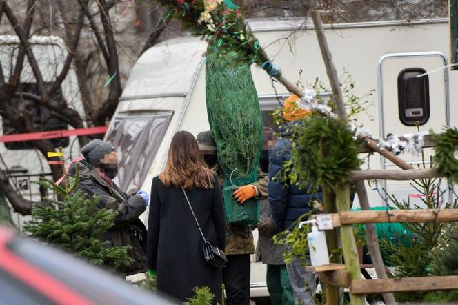 Julia Wieniawa i Nikodem Rozbicki kupili choinkę