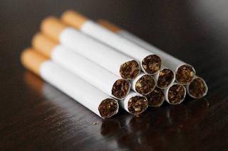 Warmińsko-mazurskie: Domowa wytwórnia w Szczytnie produkowała lewe papierosy