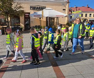 Odblaskowa Szkoła 2025 - akcja w Tarnowie