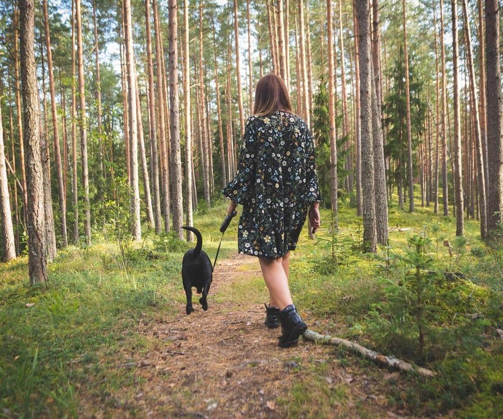 Najlepsze miejsce w Łodzi na spacer z psem? Sztuczna inteligencja nie ma wapilwości