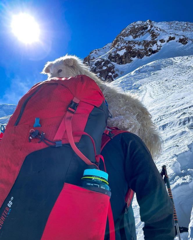 Brat Pereiry zabrał psa na Mont Everest