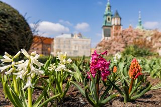 To najdroższe muzeum w Polsce. Za rodzinne zwiedzanie musimy zapłacić ponad 300 zł