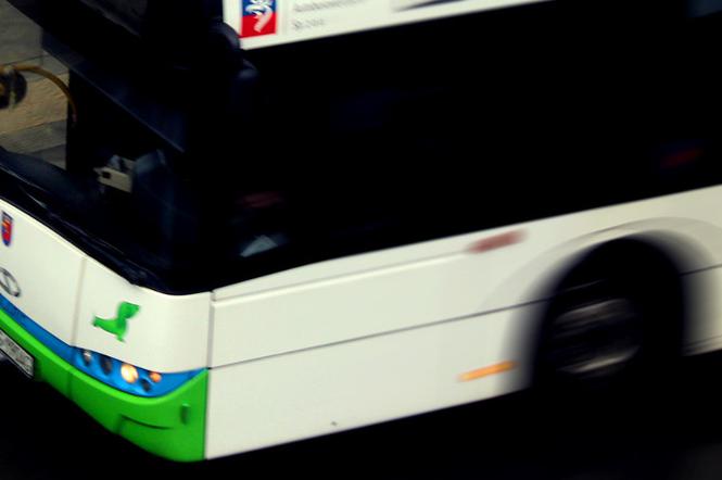Autobus