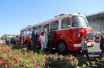 Animacje, najdłuższy autobus w kraju i inne atrakcje. Tak wyglądał Dzień bez Samochodu w Lublinie