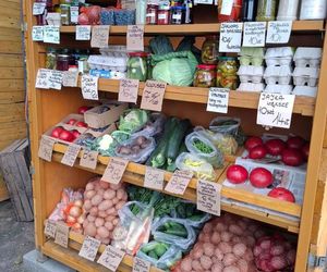 Wszystko prosto od rolnika i gospodyni spod samego gospodarstwa. Ludzie pokochali samoobsługowy warzywniak