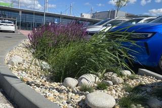 Zazieleniony teren parkingu i pasażu przed terminalami Katowice Airport