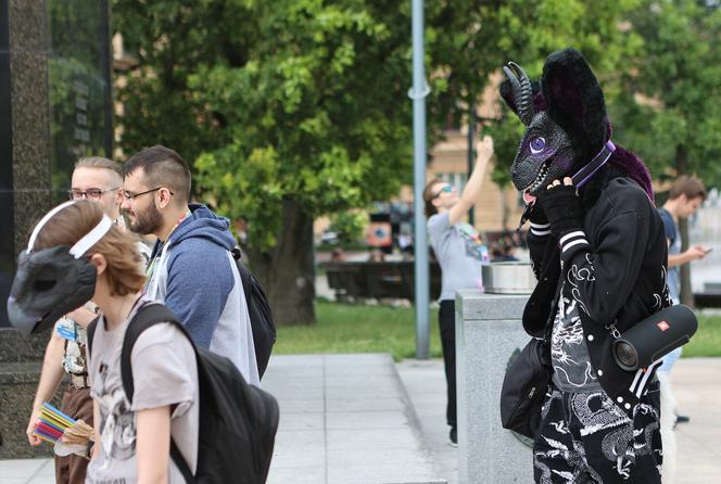 Marsz futrzaków w Lublinie. Tak wyglądał I Lubelski Fursuitwalk