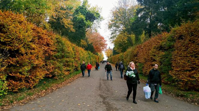 Wszystkich Świętych 2021 na Cmentarzu Centralnym w Szczecinie