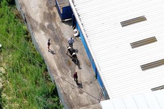 Ubojnia w Dzierzbach na Mazowszu