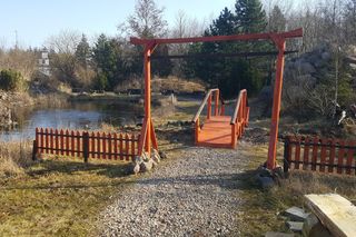 Czy  wiosna ostatecznie pokonała zimę? Pytamy Jarosława Mikietyńskiego z Ogrodu Botanicznego Instytutu Hodowli i Aklimatyzacji Roślin w Bydgoszczy