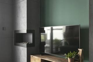 Mieszkanie w kolorach lasu