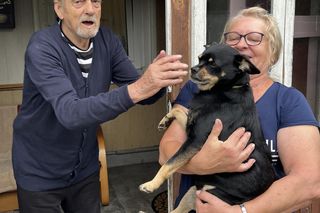 Pies na medal! Pan Ryszard czekał na ratunek w lesie, a Maksio wrócił z policją!