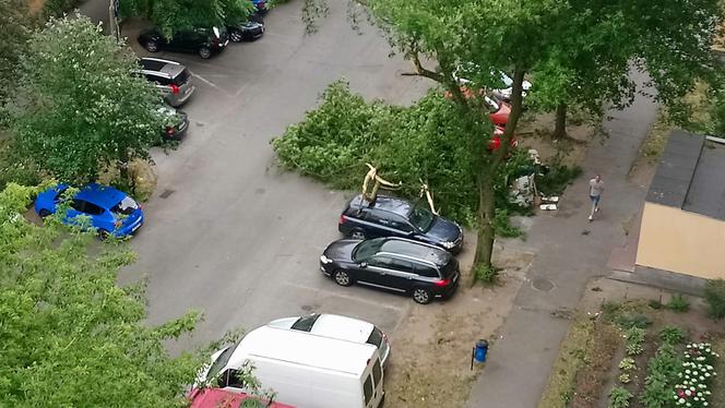 Wichura przeszła przez nasz region. Ponad 600 interwencji strażaków! [ZDJĘCIA]