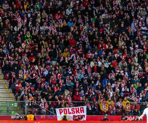 Kibice na meczu Polska – Mołdawia