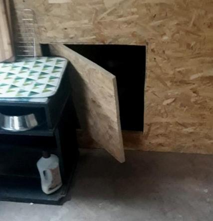 Drukował podrobione znaki towarowe, a przed Strażą Graniczną schował się w ścianie