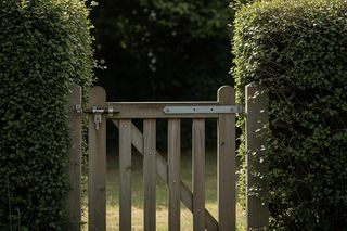 Bernardyn pogryzł 11-latkę. Jakie zarzuty usłyszał właściciel psa?