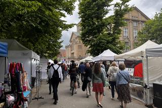 Piknik nad Odrą 2024 Szczecin 