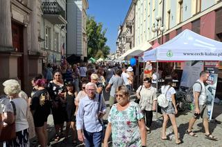 Święto ulicy Niecałej 