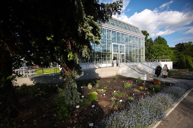 Nowa oranżeria w Ogrodzie Botanicznym UJ. Zastąpiła poprzedniczkę z XIX wieku 