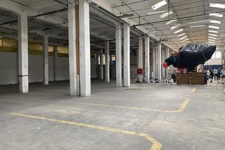 Festiwal Ravekjavik 2024. Trwa wielkie odliczanie do jednego z najciekawszych wydarzeń w Polsce!