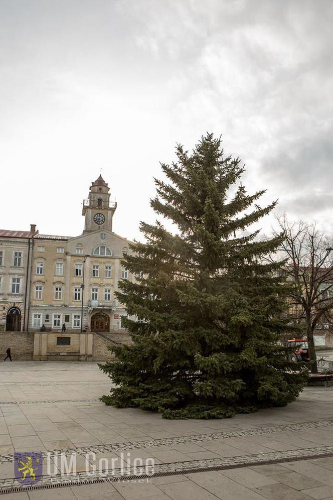 Gorlice: Na rynku już stoi choinka. Jest piękna. MUSISZ ją zobaczyć