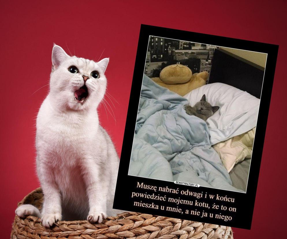 Memy o zwierzętach podbijają internet. Śmieje się z nich cała Polska
