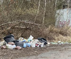 Składowisko śmieci w Mysłowicach przy ul. Miarki