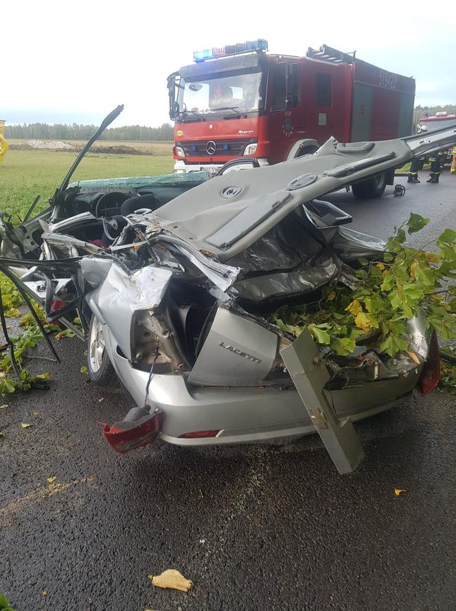 Nowy Nart: Drzewo spadło na samochód, zginął kierowca