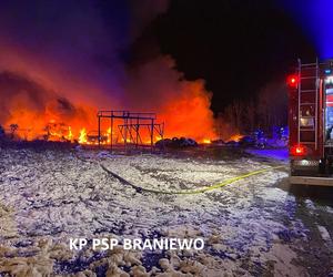 Pożar w Pieniężnie. Spłonęły wraki samochodów. Akcja strażaków trwała kilka godzin [ZDJĘCIA]