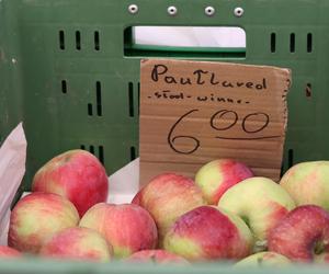 Ziemniaki po 2 zł za 1 kg? Sprawdziliśmy, jakie są ceny na lubelskim targowisku