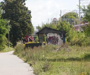 Zdemolowane rudery niemal w centrum Olsztyna. „Smród bywa podobno nie do zniesienia” [ZDJĘCIA]