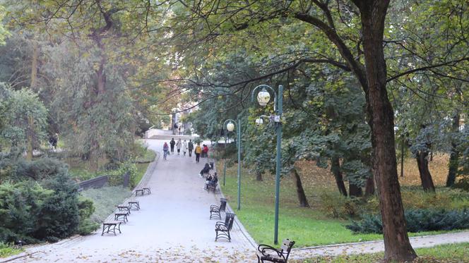 Nowa pora roku już jest w mieście. Lublin przybrał już jesienne barwy. Zobaczcie!