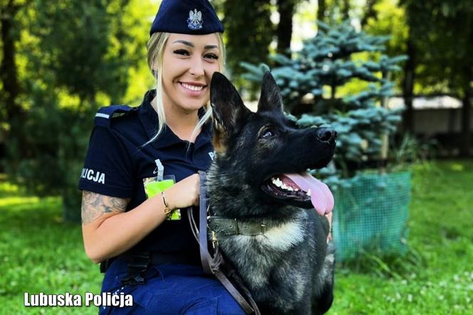 Policyjne psy w Lubuskiem - LAFI (Gorzów)