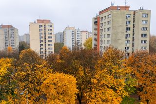 Pieniędzy starcza nam na coraz mniejsze mieszkania