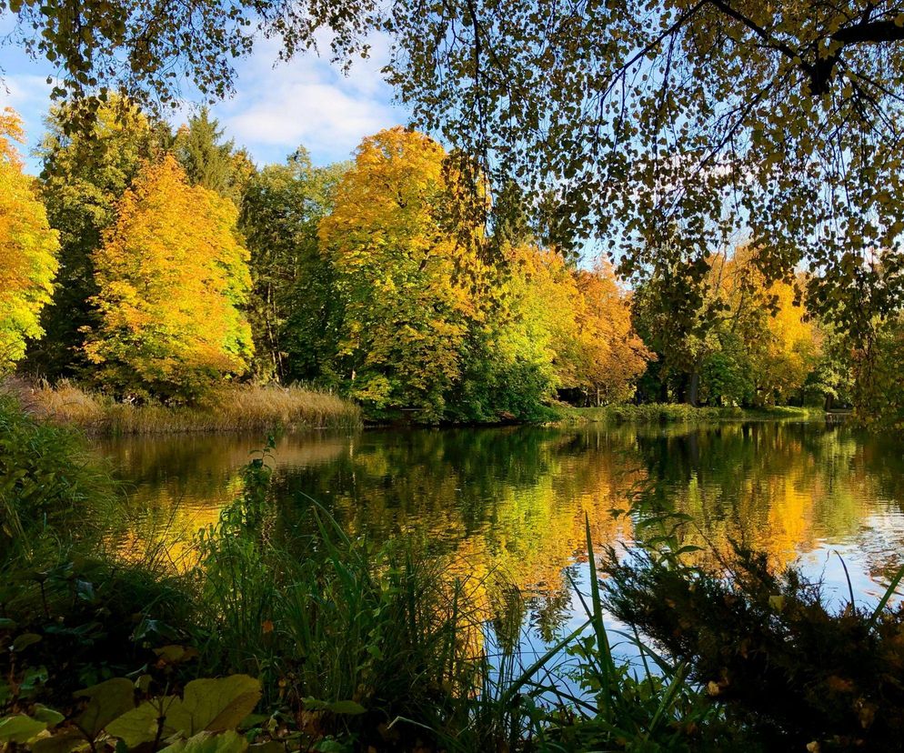 Który park w Warszawie jest najładniejszy? Trwa wielkie głosowanie