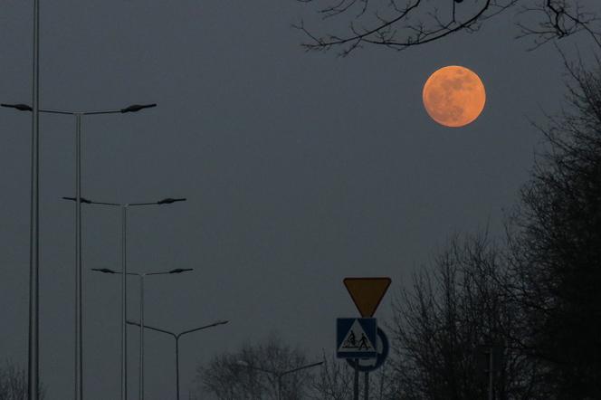 Superksiężyc 2019 - kiedy i o której godzinie Zaćmienie Krwawego Księżyca?
