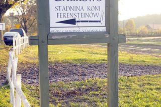   Mała wieś w woj. warmińsko-mazurskim z wielką renomą. To miejsce przyciąga gwiazdy