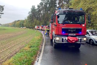 Wypadek na granicy dwóch powiatów. Kobieta uderzyła samochodem w drzewo