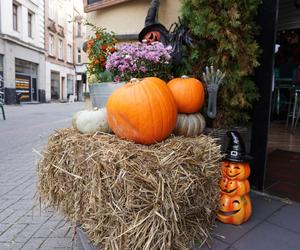 Najciekawsze Halloween'owe witryny i dekoracje w Katowicach. Aż strach się bać! 