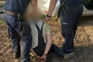 Wielkopolskie. Uciekał przed policją skuterem, a potem pieszo przez pola rzepaku! Policjanci łapali się za głowy  [ZDJĘCIA]