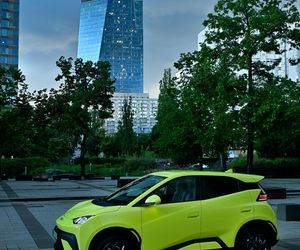 BYD DOLPHIN SURF