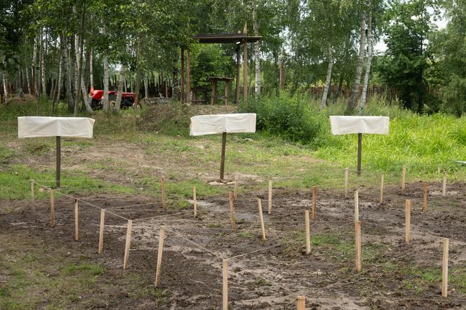 Farma 3: Maciek zmieni bieg finału? Zapowiada się historyczne wydarzenie