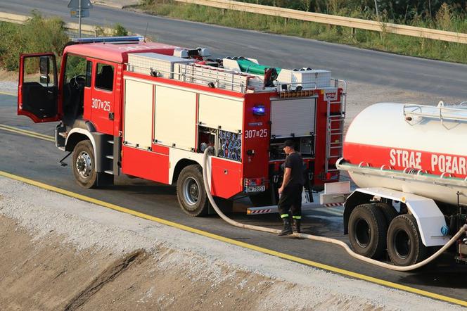 Pożar na północy Wrocławia. Zagrożonych było nawet 40 hektarów