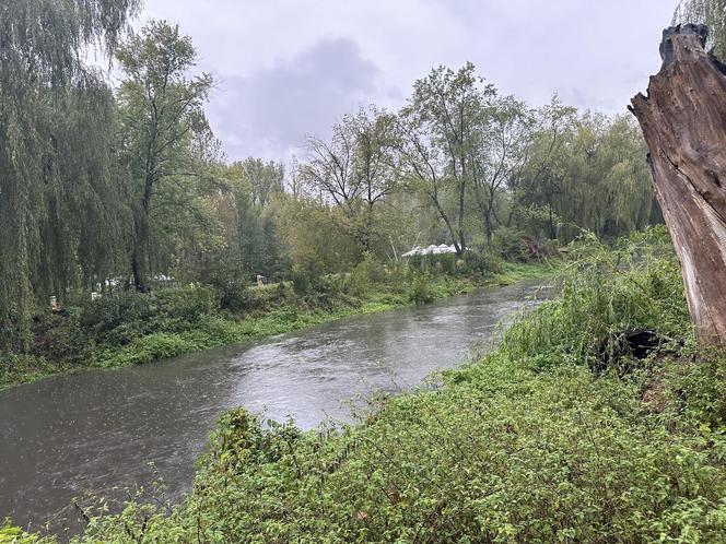 Brynica woj. śląskie - Sosnowiec, Stawiki