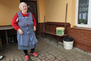 Wilki zjadły mojego Cygana