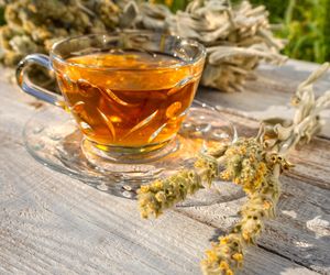 Buduje odporność, chroni jelita. Górska herbata po latach wróciła do łask