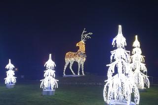 Park Miliona Świateł w Zabrzu już otwarty!